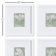 Load image into Gallery viewer, TRANSLUCENT FLORAL PETITE PRINTS, SET OF 4