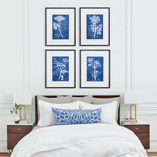 Load image into Gallery viewer, CYANOTYPE QUEEN ANNES LACE PRINTS, SET OF 4