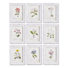 Load image into Gallery viewer, GARDEN MEADOW STUDY, SET OF 9