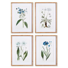 Load image into Gallery viewer, MOUNTAIN BOTANICAL PRINTS, SET OF 4