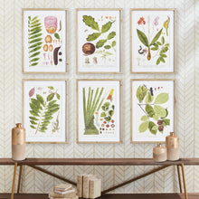 Load image into Gallery viewer, LEAF BOTANICAL STUDY, SET OF 6