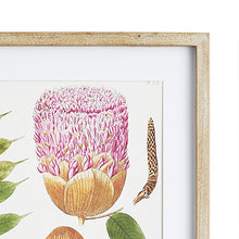 Load image into Gallery viewer, LEAF BOTANICAL STUDY, SET OF 6