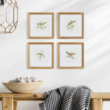 Load image into Gallery viewer, PERCHING BIRD STUDY PETITE, SET OF 4