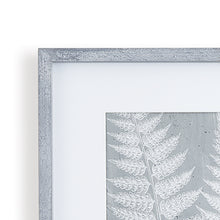 Load image into Gallery viewer, FERN FROND PRINTS, SET OF 3