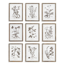 Load image into Gallery viewer, RUSTIC FOLIAGE STUDY, SET OF 9