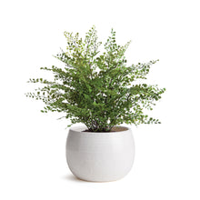 Load image into Gallery viewer, KAYLA POT SMALL