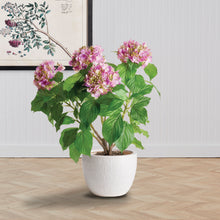 Load image into Gallery viewer, SHAWNA POT SMALL