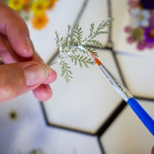 Load image into Gallery viewer, Framed Pressed Flowers Kit