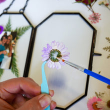 Load image into Gallery viewer, Framed Pressed Flowers Kit