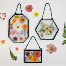 Load image into Gallery viewer, Framed Pressed Flowers Kit