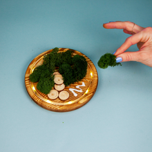 Load image into Gallery viewer, LED Fairy Garden Kit