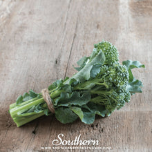 Load image into Gallery viewer, Di Cicco Broccoli – 200 Seeds
