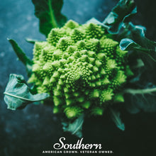 Load image into Gallery viewer, Romanesco Broccoli – 100 Seeds