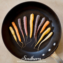 Load image into Gallery viewer, Rainbow Carrot – 100 Seeds