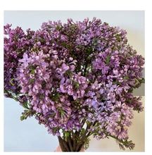 Load image into Gallery viewer, Curated Floristry Kit Subscription - Fresh Flower Subscription
