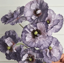 Load image into Gallery viewer, Amazing Grey Poppy – 25 Seeds
