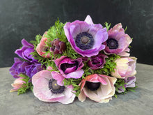 Load image into Gallery viewer, Anemone Corms-Rarity