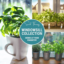 Load image into Gallery viewer, Windowsill Herb Seed Collection – 6 Culinary Herbs