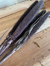 Load image into Gallery viewer, Dried Purple Majesty Millet