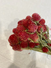 Load image into Gallery viewer, Set of 3 Dried Globe Amaranth aka gomphrena bundles
