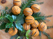 Load image into Gallery viewer, Dried whole slit oranges - pomanders