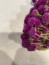 Load image into Gallery viewer, Set of 3 Dried Globe Amaranth aka gomphrena bundles