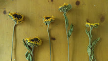 Load image into Gallery viewer, Dried sunflower bundle-- weddings, fall, rustic, primitive decor