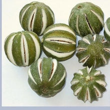 Load image into Gallery viewer, 30 dried slit oranges