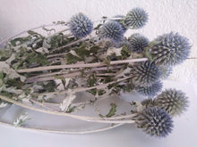 Load image into Gallery viewer, Dried Echinops bundle in pale blue grey pre order for August