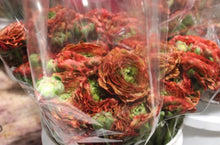 Load image into Gallery viewer, 50 Fresh Italian ranunculus (USA grown) gorgeous colors (mix and match)