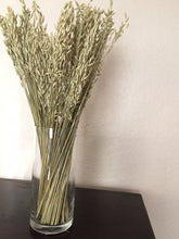 Load image into Gallery viewer, 3 bundles of dried Aveena (oats) perfect for fall---fall decor- dried flowers-dried herbs
