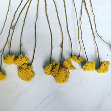 Load image into Gallery viewer, 3 bundles of dried yarrow- dried fall flowers and herbs - fall decor