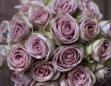 Load image into Gallery viewer, Fresh Garden Roses - Lovely Mother’s Day gift or anytime gift - spring decor