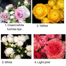 Load image into Gallery viewer, 40 Ranunculus. Lovely Holiday floral gift