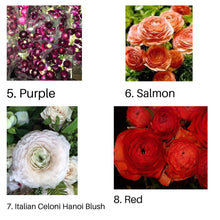 Load image into Gallery viewer, 40 Ranunculus. Lovely Holiday floral gift