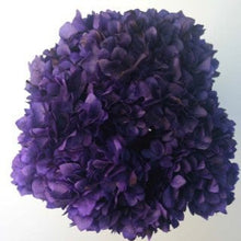 Load image into Gallery viewer, 9 stems of ultra soft dried hydrangea. Gorgeous shades still available