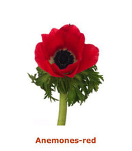 Load image into Gallery viewer, Fresh Anemones! Gorgeous colors!