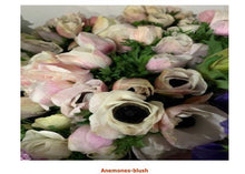 Load image into Gallery viewer, Fresh Anemones! Gorgeous colors!