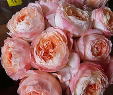 Load image into Gallery viewer, Fresh Garden Roses - Lovely Mother’s Day gift or anytime gift - spring decor