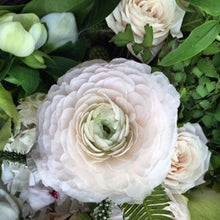 Load image into Gallery viewer, 40 Ranunculus. Lovely Holiday floral gift