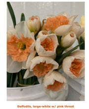 Load image into Gallery viewer, Fresh Daffodils