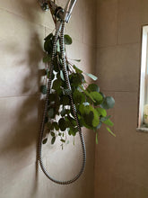 Load image into Gallery viewer, Natural Shower Steamers - Eucalyptus, Rosemary and lavender