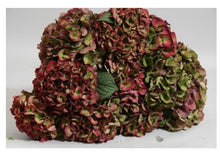 Load image into Gallery viewer, Fresh Antique Hydrangea