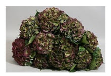 Load image into Gallery viewer, Fresh Antique Hydrangea