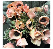 Load image into Gallery viewer, Blush Anemone - bulk special fresh gorgeous farm fresh flowers