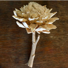 Load image into Gallery viewer, Dried Bleached Artichoke Stems