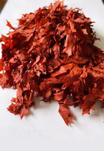 Load image into Gallery viewer, 3 Large bundles of Oak Fall leaves