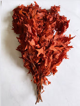Load image into Gallery viewer, 3 Large bundles of Oak Fall leaves