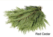 Load image into Gallery viewer, Mixed Fresh Holiday Greens 30 pounds