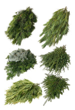 Load image into Gallery viewer, Mixed Fresh Holiday Greens 30 pounds